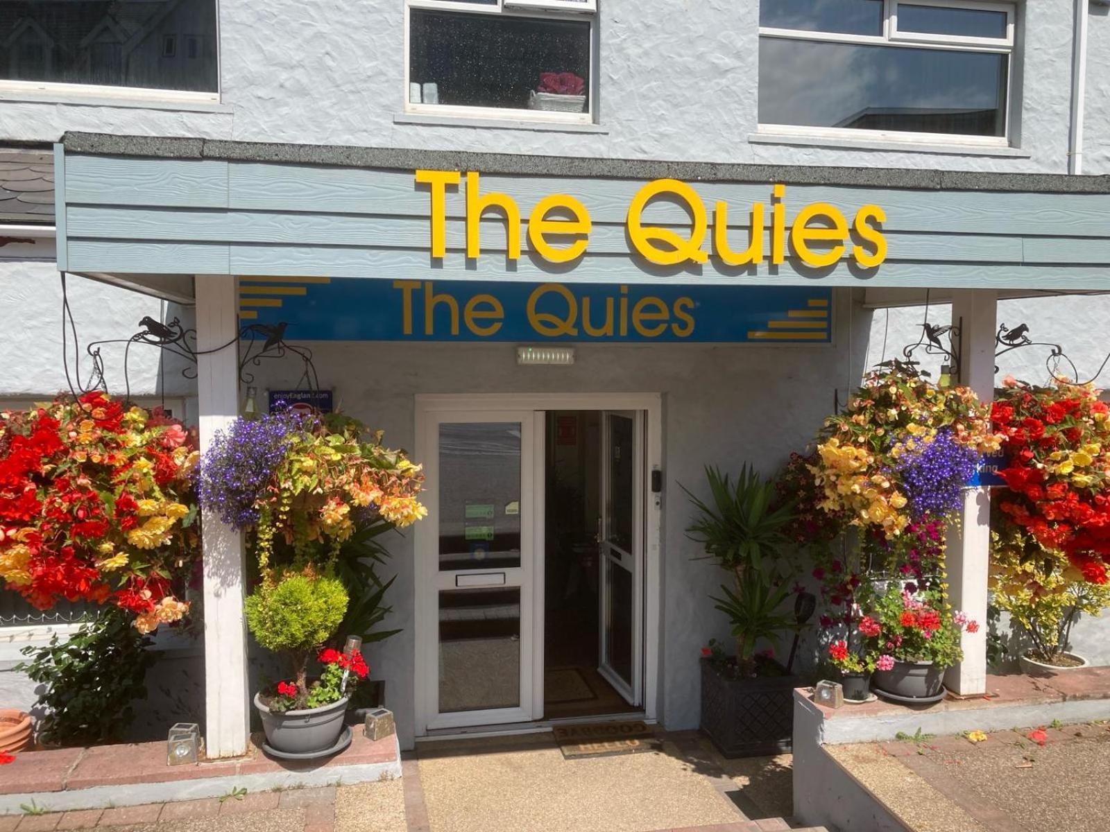 Hotel The Quies New Quay Exterior foto